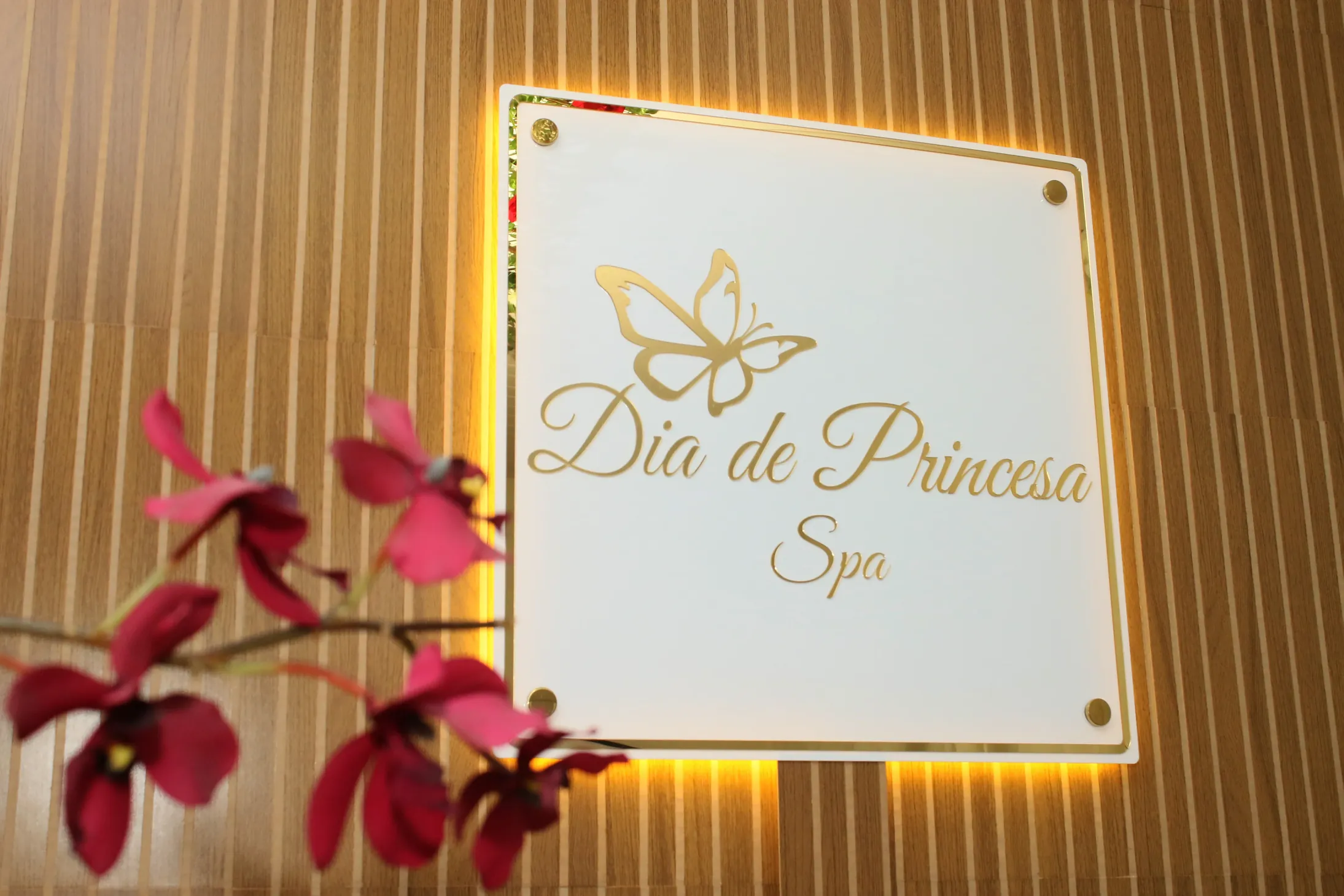Placa de recepção do Dia de Princesa Spa Infantil
